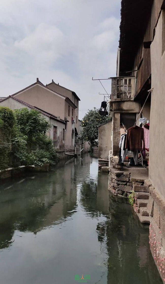 淘气兔救援